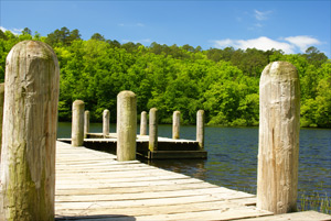 Photo of River Dock